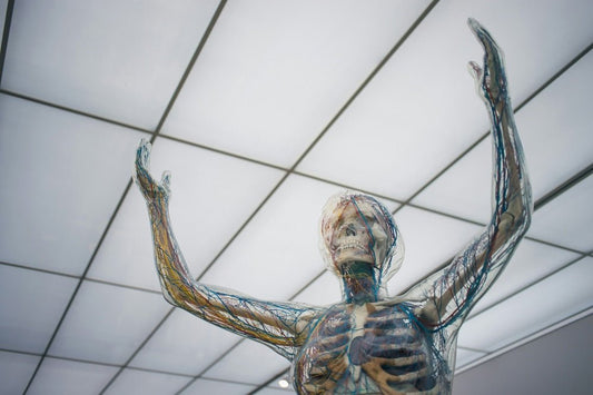 Orthopedic Surgeons - What Do They Do? - Human 2.0