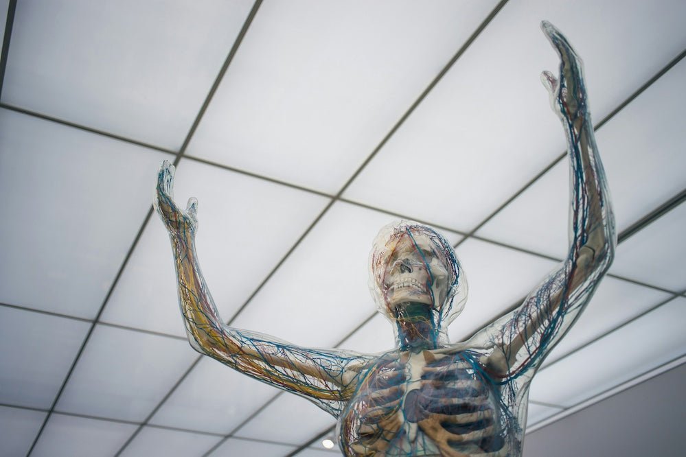 Orthopedic Surgeons - What Do They Do? - Human 2.0
