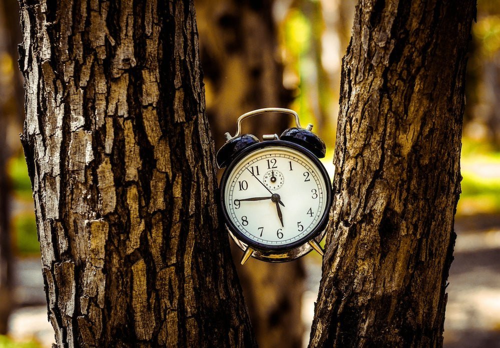 The Horvath Clock - What Is It? - Human 2.0